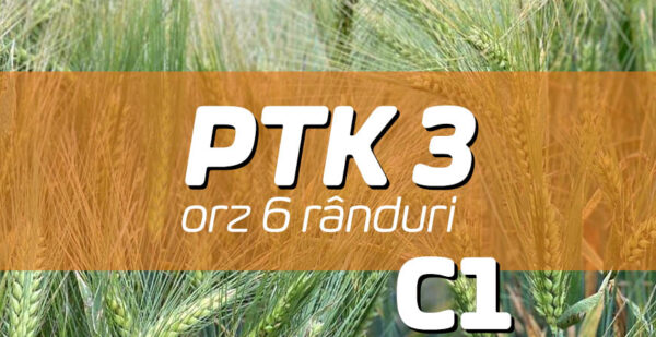 samanta orz ptk 3, compania seminte fundulea
