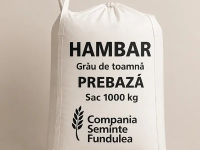 seminte grau hambar, prebaza, sac 1000 kg