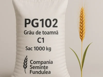 samanta grau PG102, C1, Compania Seminte Fundulea